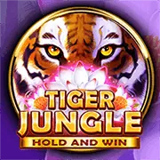 Bàn chơi Baccarat trực tuyến với chip và thẻ bài