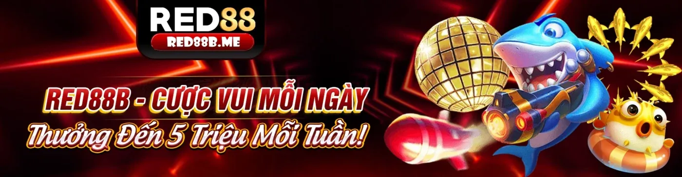 Hình ảnh quản lý vốn cá cược thể thao 79 Club