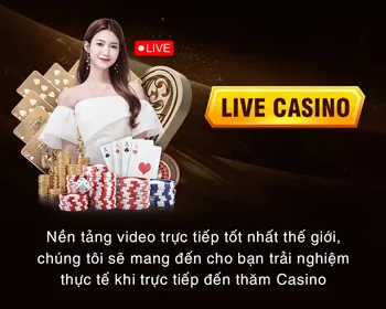 Đồ họa sống động